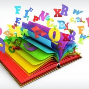 TERMINOLOGIA